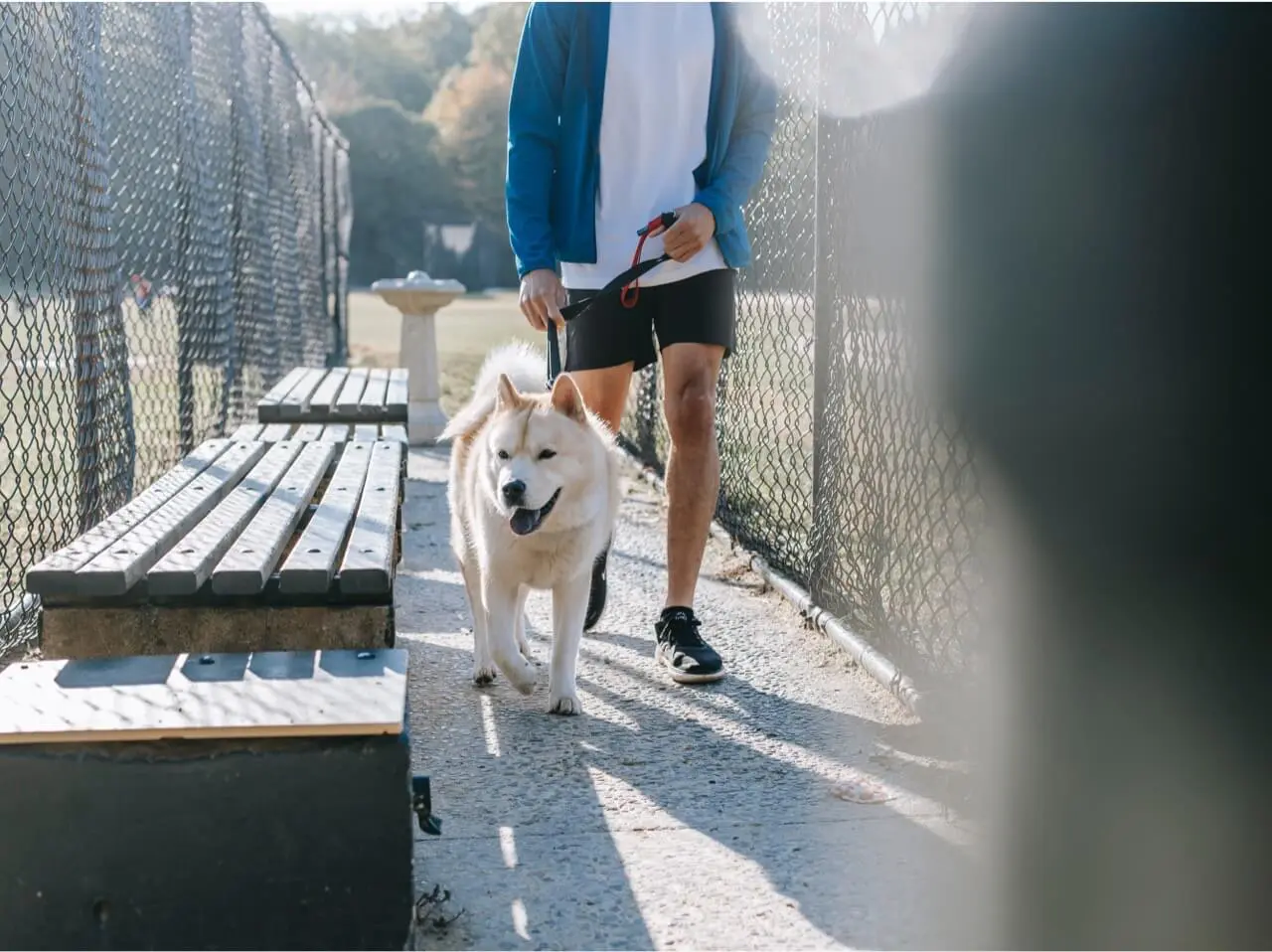 pexels-zen-chung-5749777 - Pet Health Care